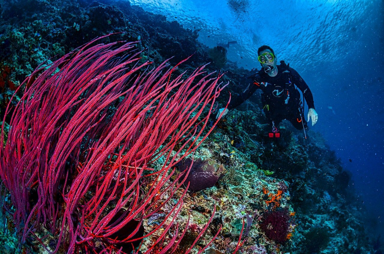 Diving